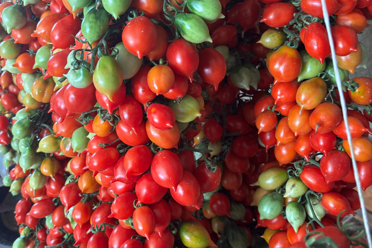 Amalfi: cookingclass whit mozzarella, tiramisù and pasta Amalfi: cookingclass whit mozzarella, tiramisù and pasta
