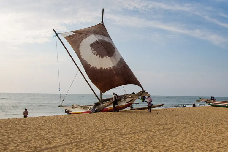 Negombo: tour guiado na cidade de tuk tuk com serviço de busca no hotel