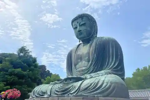 Visit Daibutsu and shopping experience