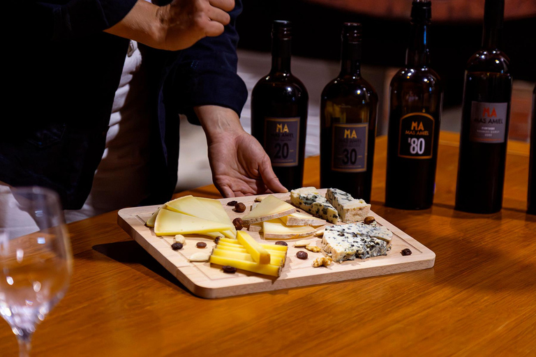 Food tasting at Mas Amiel with Vintage Oxidative Wines & Cheeses in Maury (66) Tasting at Mas Amiel with Vintage Oxidative Wines & Cheeses in Maury (66)