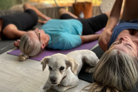 ALBUFEIRA: Yogaklass i en kupol eller på stranden