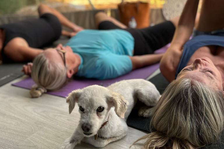 ALBUFEIRA: lezione di yoga in una cupola o sulla spiaggia