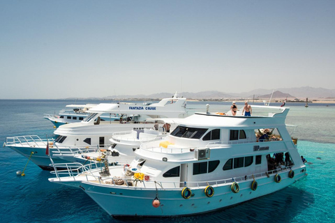 Sharm El-Sheikh: Tiran Island kryssning, snorkling och dykning med lunchSnorklingstur (snorklingsutrustning ingår ej)