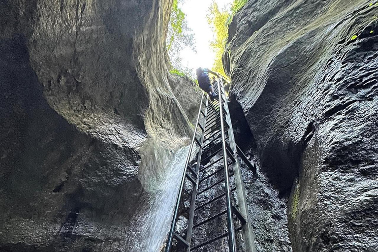 Brașov: Seven Ladders Canyon Guided Hike with Pickup