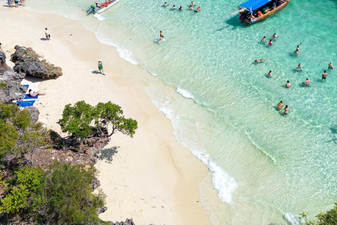 EXCURSIÓN PRIVADA CON DELFINES Y SNORKEL EN LA ISLA DE MNEMBA CON ALMUERZO