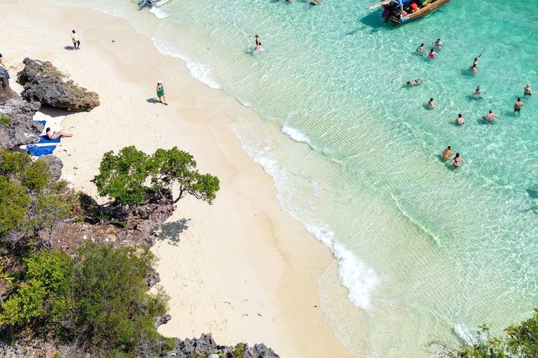 EXCURSIÓN PRIVADA CON DELFINES Y SNORKEL EN LA ISLA DE MNEMBA CON ALMUERZO