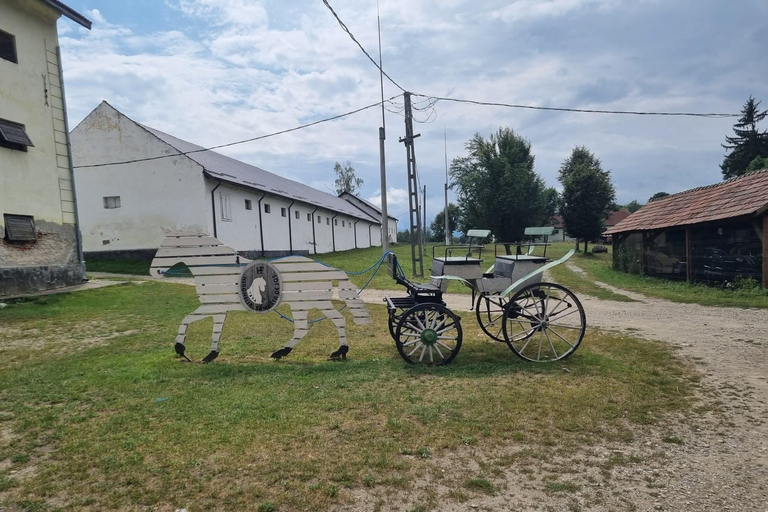 Myths, Horses & Monks – A Transylvanian Storytelling Journey
