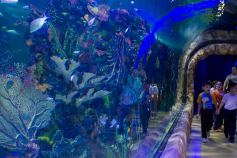 Mexico City: Inbursa Aquarium Entry with Hotel Transfer
