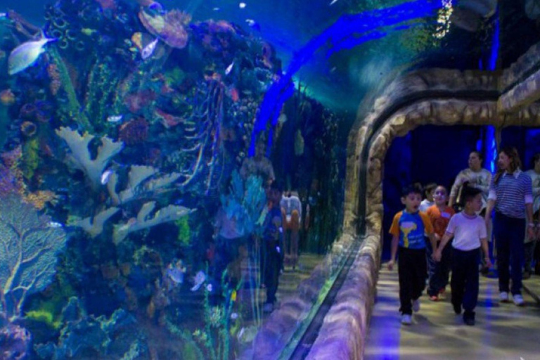 Mexico City: Inbursa Aquarium Entry with Hotel Transfer