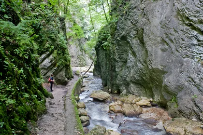 Gole dell