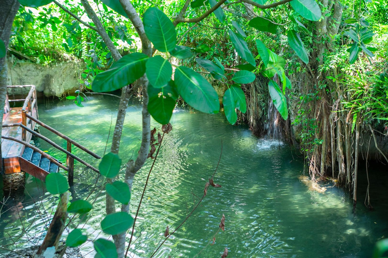 Punta Cana: Monkey Sanctuary, Farm & Cenote Swim Combo