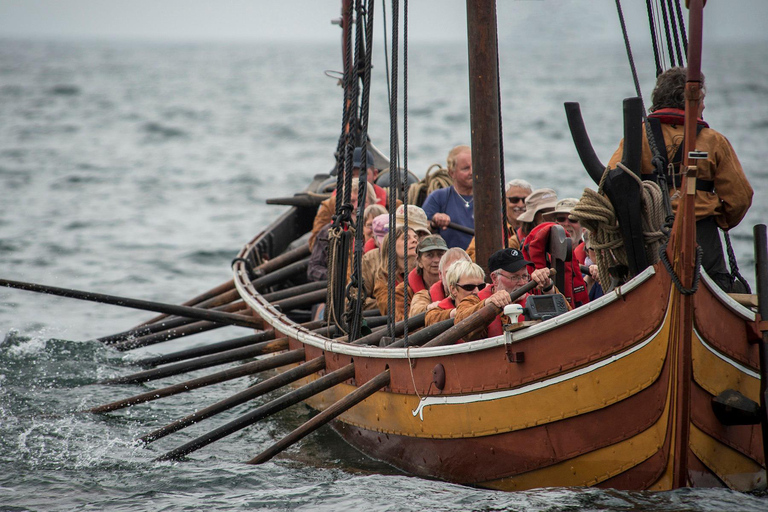Copenhagen: Viking Heritage Trail Private Tour