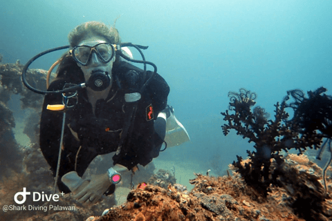 Puerto Princesa: Guided Diving Tour with Snacks Puerto Princesa: 3 Guided Diving Tour with Lunch
