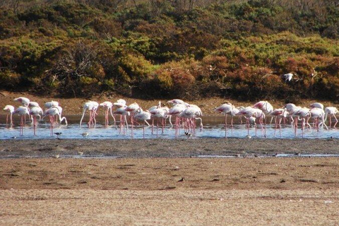 Souss-Massa National Park Entry Ticket