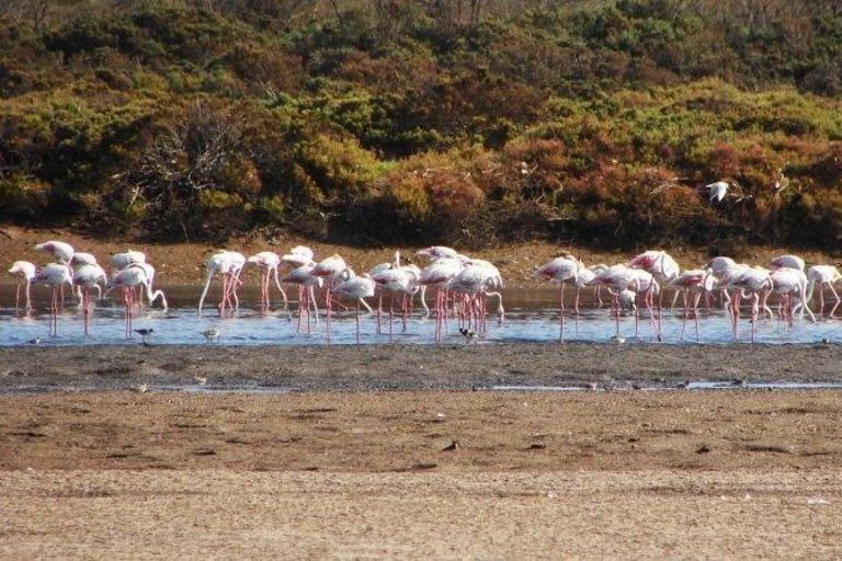 Souss-Massa National Park Entry Ticket