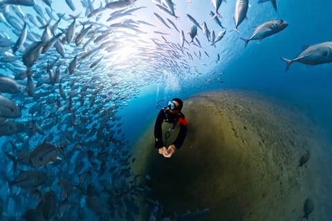 Bali: Private Scuba Diving Experience for Beginners