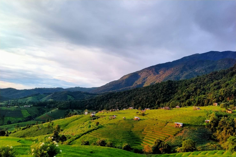 En privado: Terrazas de arrozales y Parque Nacional de Doi Inthanon.