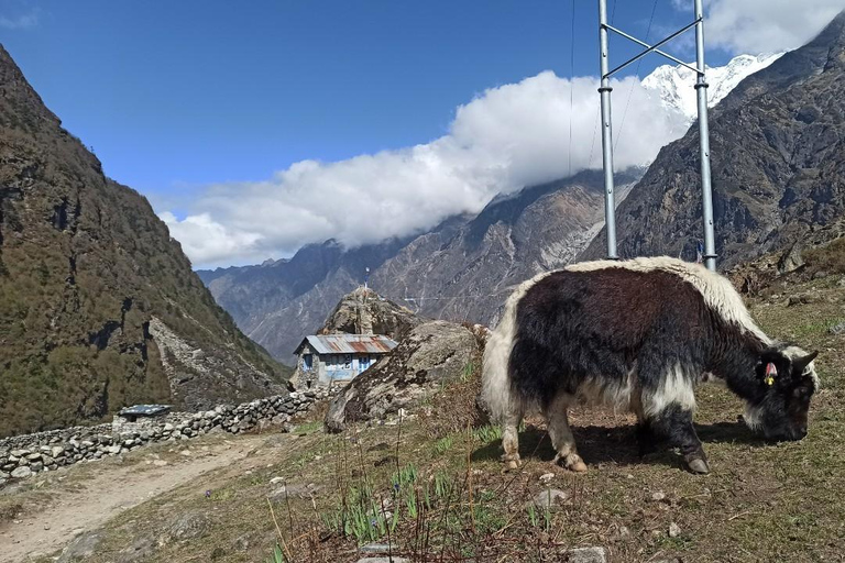 Kathmandu: 9-Day Langtang Gosaikunda Trek with Transfers 9DayLangTangGosain