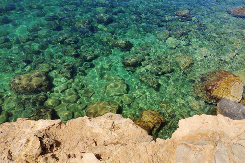 Palma de Mallorca: SmallGroup Tour by Locals in Hidden Coves