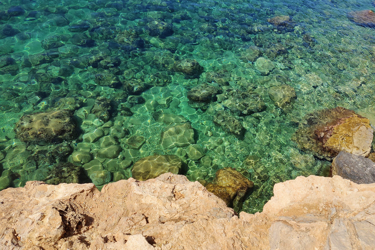 Palma de Mallorca: SmallGroup Tour by Locals in Hidden Coves