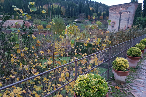 Alhambra: szybkie zwiedzanie ogrodów Generalife i AlcazabyAlhambra: ogrody Generalife i Alcazaba w trybie przyspieszonym