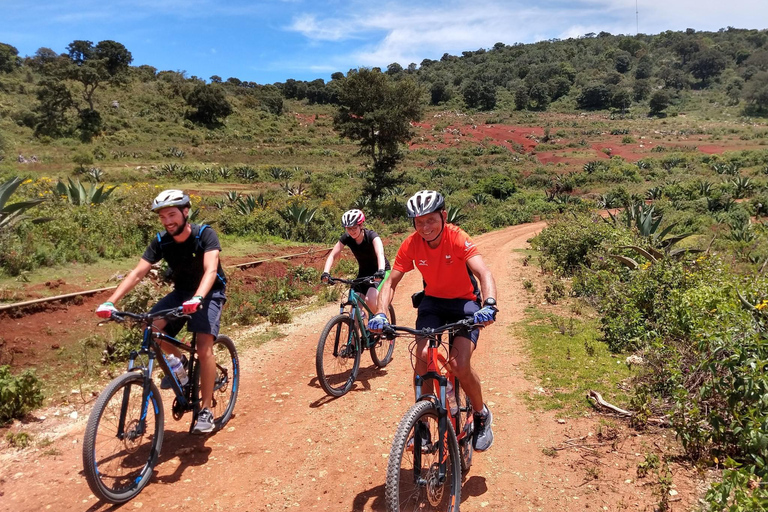 Oaxaca: La Culebra - Las Salinas Dagstur på cykelPris från 8 personer och uppåt