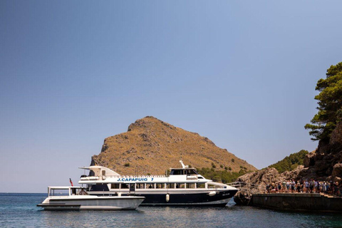 All of Mallorca: Exclusive Experience in an Intimate Group (12 people max.)