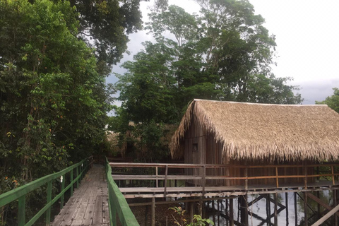 Tour del campeggio amazzonico di Manaus Rio Negro - tour di 4 giorni