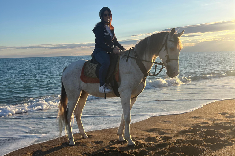 Antalya Horseback Riding Adventure Through Scenic Trails