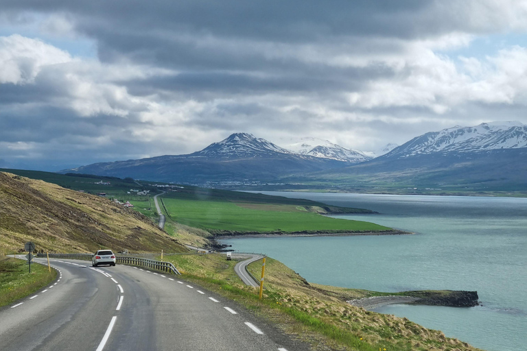 From Akureyri: Lake Mývatn & Dettifoss Private Tour