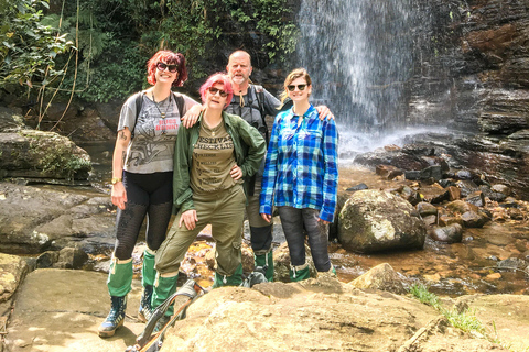 康提：纳克尔斯山脉徒步之旅（含午餐）