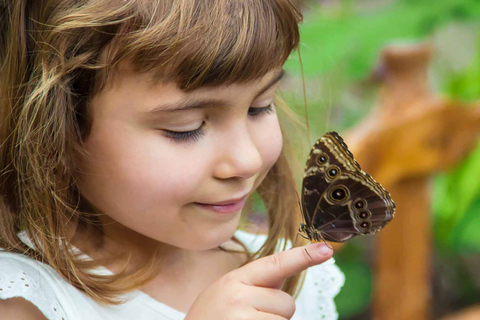 Dubái: entrada al jardín de mariposas