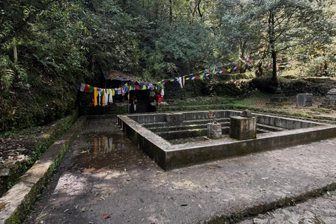 From Kathmandu: Shivapuri Nagarjun–Bagdwar Guided Hike
