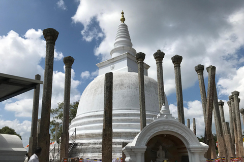 Colombo: Dambulla Cave Temple and Sigiriya Day Trip