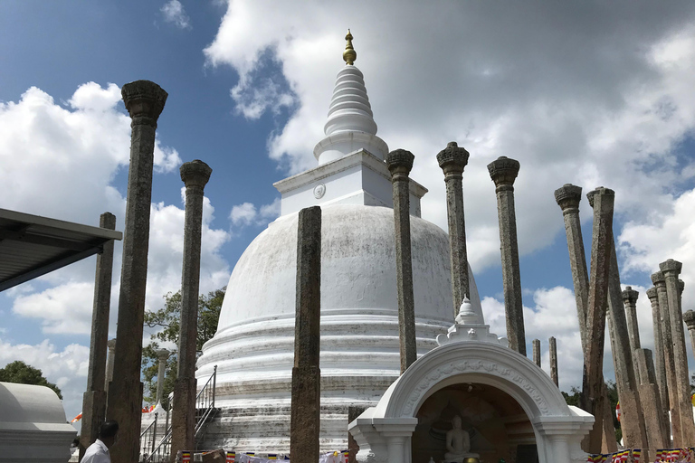 Colombo: Dambulla Cave Temple and Sigiriya Day Trip