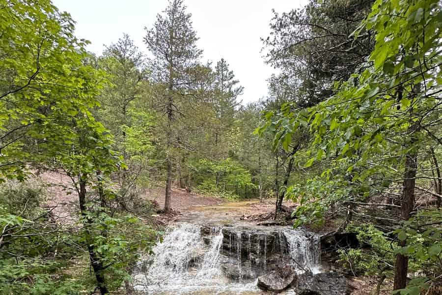 Hollister: 4-Sitzer CanAm UTV Off-Road-Verleih. Foto: GetYourGuide