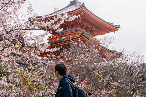 Kyoto & Nara Customized Private English Guided Tour