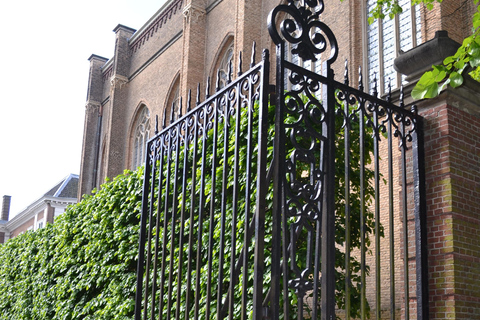 Guided tour of The Hague with a French tour guide