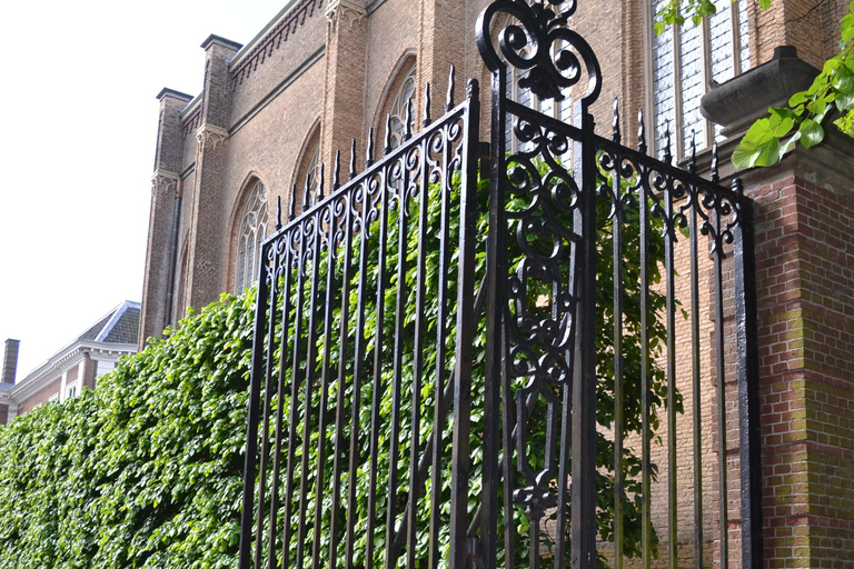 Guided tour of The Hague with a French tour guide