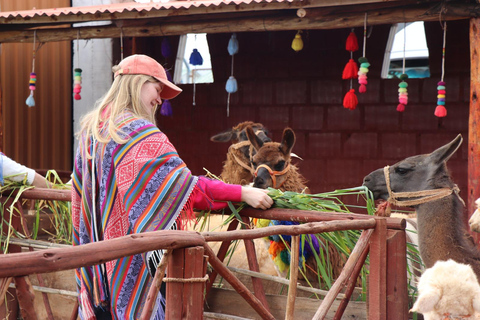 From Cusco: Sacred Valley Llama Walk & Local Family Visit