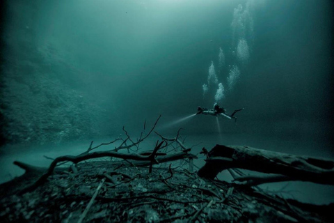 De Cancún: Experiência de mergulho no Cenote Angelita e Taj Ma HaExperiência de mergulho