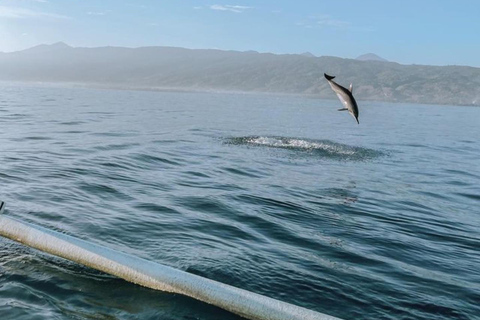 North Bali ; Lovina Sunrise Watching Dolphin