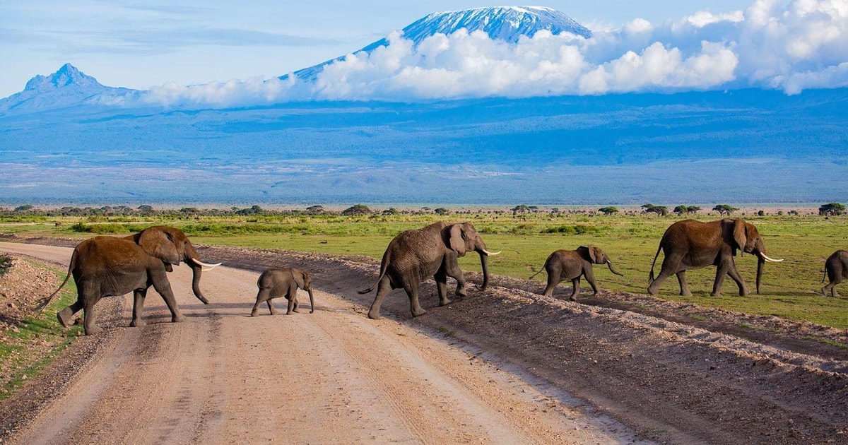 2-tage-amboseli-national-park-safari-getyourguide