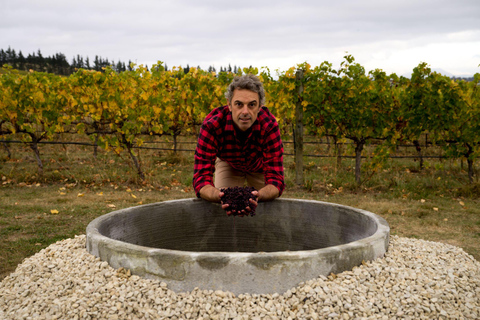 Desde Lyttelton: excursión en tierra con almuerzo degustación.Desde Lyttelton: excursión en tierra con almuerzo degustación