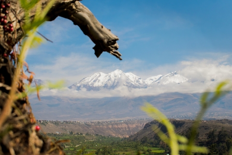 Klettern in Arequipa, PerúKlettern in Arequipa und im Valle de Chilina