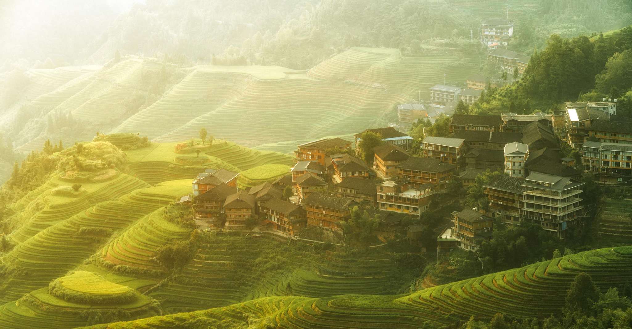 Guilin, Longji Rice Terraces&Culture Private Day Tour, Guilin, China