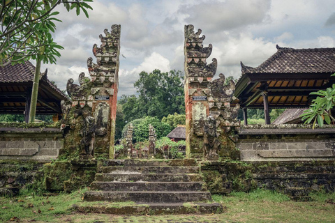 Bali: Visita espiritual com meditação e cerimónia Puja