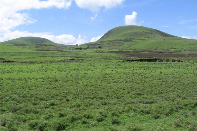 Arusha: 2-tägige Safari nach Arusha und zum Mkomazi-NationalparkArusha: 2-tägige Safari nach Arusha und in den Mkomazi-Nationalpark