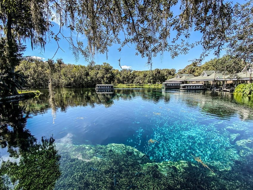 Silver Springs: Guided Glass Bottom Kayak Tour | GetYourGuide