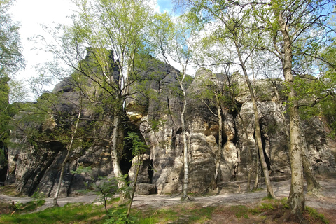 Dresden: Private Tagestour ab Prag mit optionalem Tisa-FelsenDresden: Private Tagestour ab Prag mit ortskundigem Guide